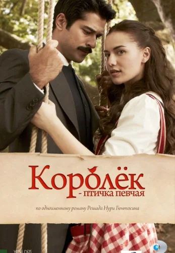 Королек – птичка певчая (2013 - 2014) турецкий сериал на русском языке смотреть бесплатно онлайн все серии